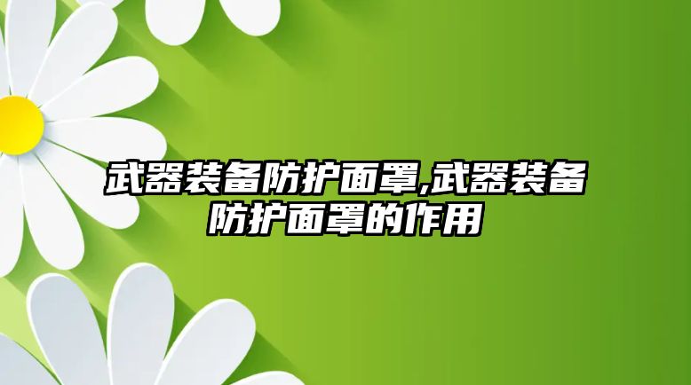 武器裝備防護面罩,武器裝備防護面罩的作用