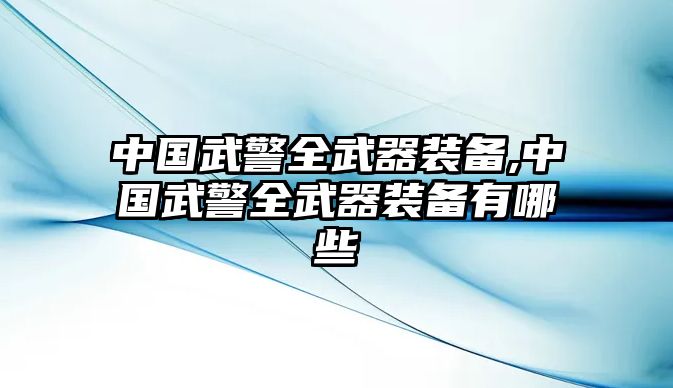 中國武警全武器裝備,中國武警全武器裝備有哪些