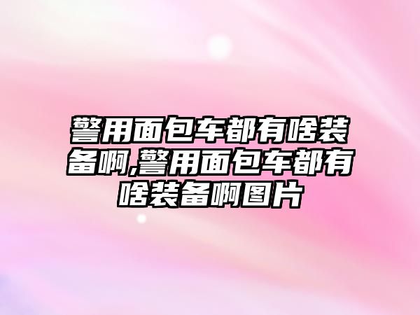 警用面包車都有啥裝備啊,警用面包車都有啥裝備啊圖片