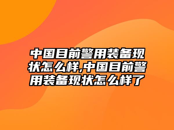 中國目前警用裝備現狀怎么樣,中國目前警用裝備現狀怎么樣了