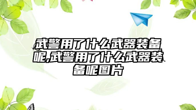 武警用了什么武器裝備呢,武警用了什么武器裝備呢圖片