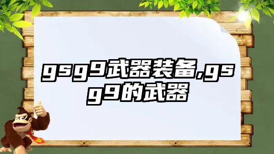 gsg9武器裝備,gsg9的武器