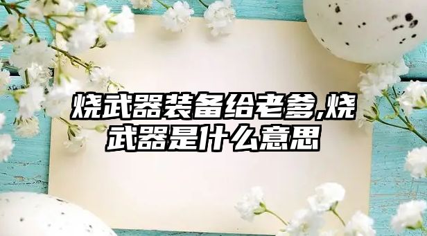 燒武器裝備給老爹,燒武器是什么意思