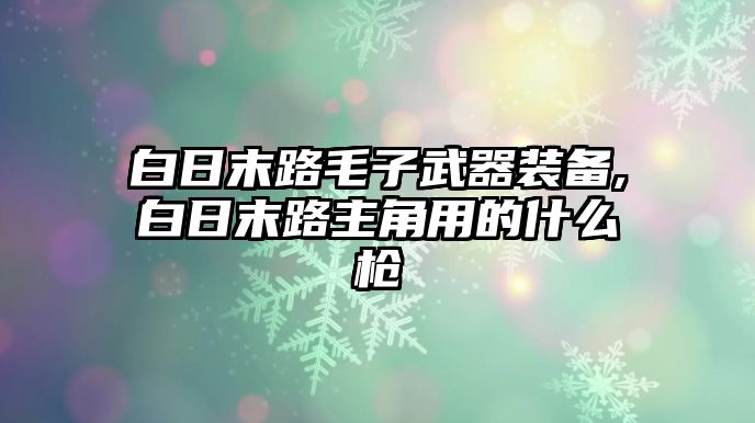 白日末路毛子武器裝備,白日末路主角用的什么槍