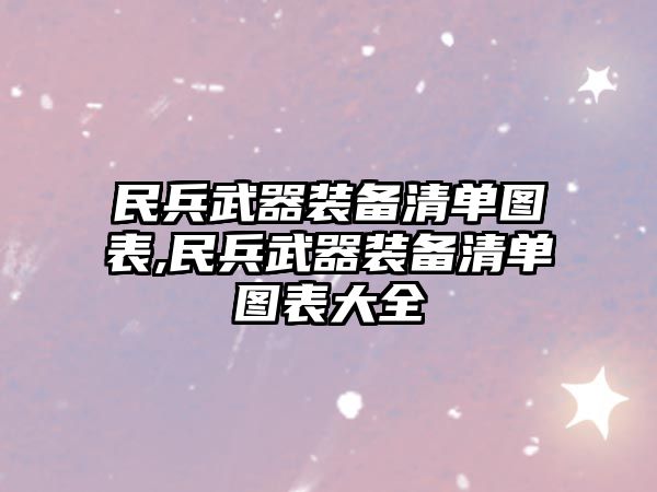 民兵武器裝備清單圖表,民兵武器裝備清單圖表大全