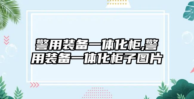 警用裝備一體化柜,警用裝備一體化柜子圖片