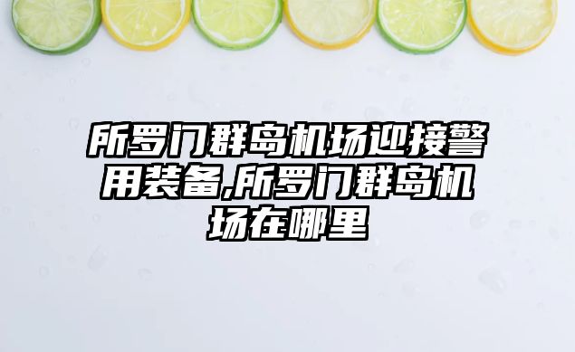 所羅門群島機場迎接警用裝備,所羅門群島機場在哪里