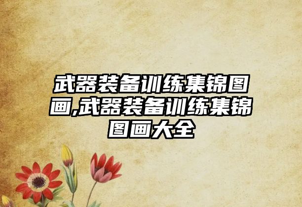 武器裝備訓(xùn)練集錦圖畫,武器裝備訓(xùn)練集錦圖畫大全