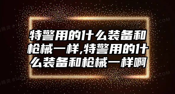 特警用的什么裝備和槍械一樣,特警用的什么裝備和槍械一樣啊