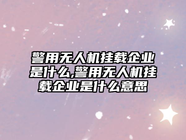 警用無人機掛載企業(yè)是什么,警用無人機掛載企業(yè)是什么意思