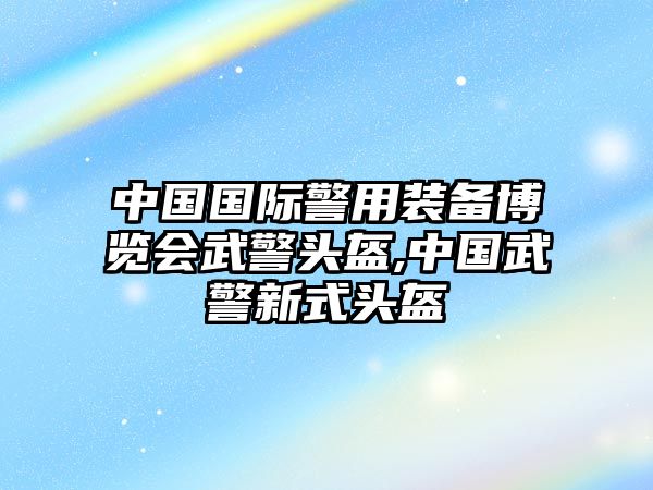 中國國際警用裝備博覽會(huì)武警頭盔,中國武警新式頭盔