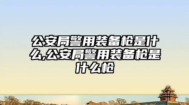 公安局警用裝備槍是什么,公安局警用裝備槍是什么槍