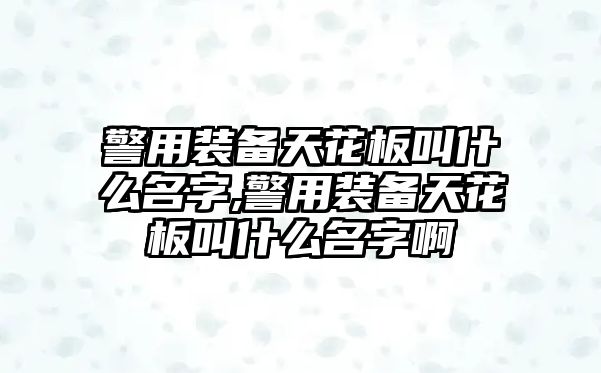 警用裝備天花板叫什么名字,警用裝備天花板叫什么名字啊