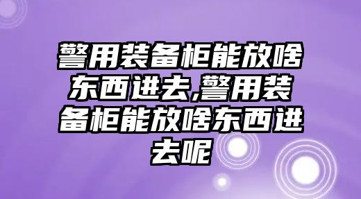 警用裝備柜能放啥東西進去,警用裝備柜能放啥東西進去呢