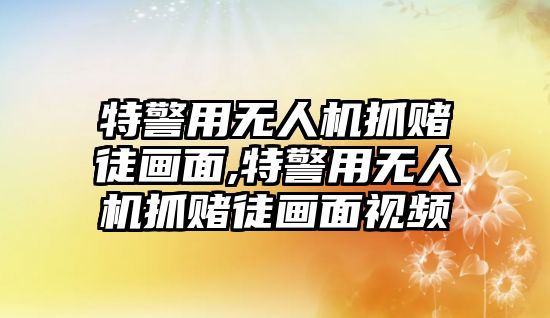 特警用無(wú)人機(jī)抓賭徒畫面,特警用無(wú)人機(jī)抓賭徒畫面視頻