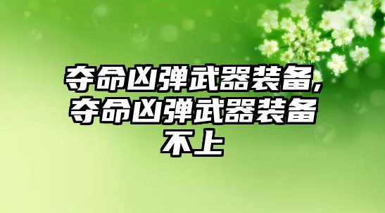 奪命兇彈武器裝備,奪命兇彈武器裝備不上