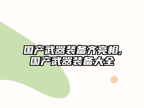 國產武器裝備齊亮相,國產武器裝備大全