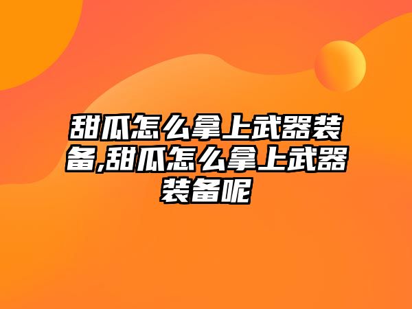 甜瓜怎么拿上武器裝備,甜瓜怎么拿上武器裝備呢