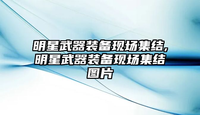 明星武器裝備現場集結,明星武器裝備現場集結圖片