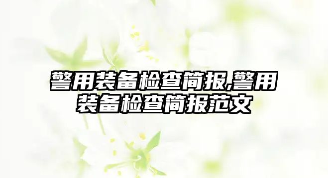 警用裝備檢查簡報,警用裝備檢查簡報范文