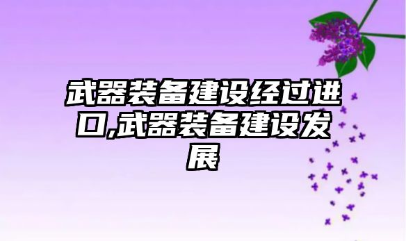 武器裝備建設經過進口,武器裝備建設發展