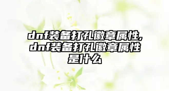 dnf裝備打孔徽章屬性,dnf裝備打孔徽章屬性是什么