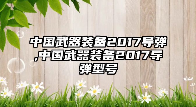 中國武器裝備2017導(dǎo)彈,中國武器裝備2017導(dǎo)彈型號