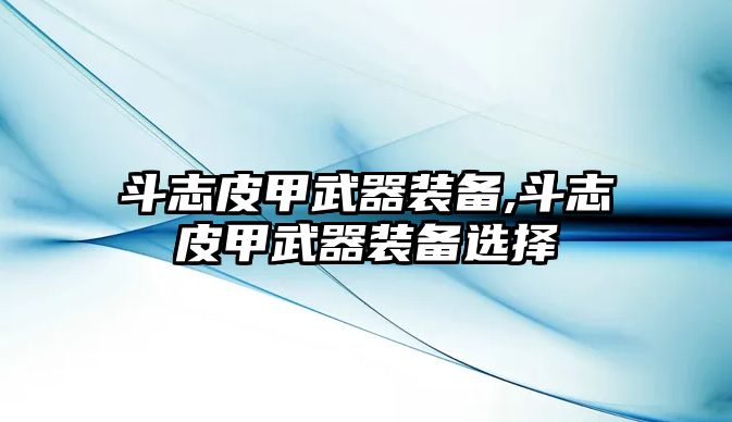 斗志皮甲武器裝備,斗志皮甲武器裝備選擇