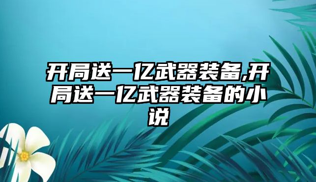 開局送一億武器裝備,開局送一億武器裝備的小說