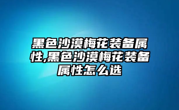 黑色沙漠梅花裝備屬性,黑色沙漠梅花裝備屬性怎么選