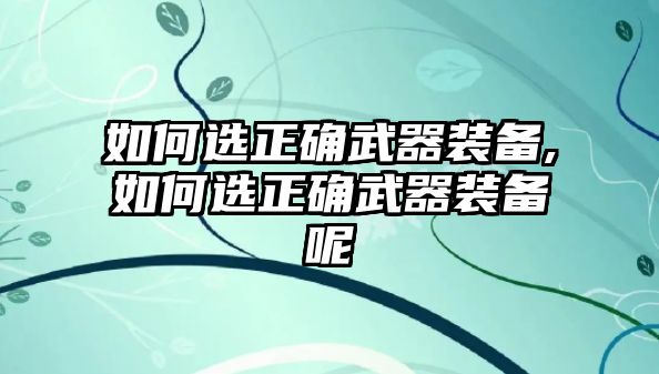 如何選正確武器裝備,如何選正確武器裝備呢