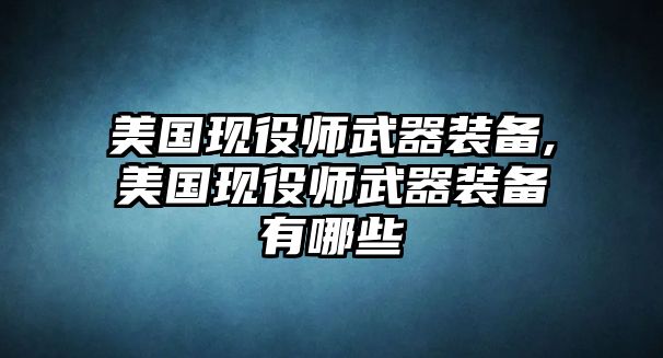 美國現役師武器裝備,美國現役師武器裝備有哪些