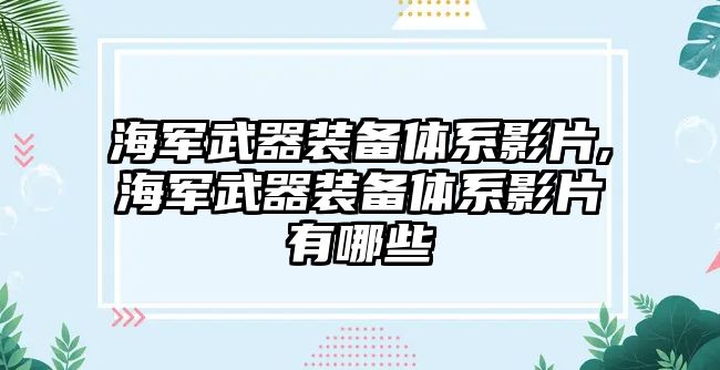 海軍武器裝備體系影片,海軍武器裝備體系影片有哪些