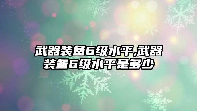 武器裝備6級水平,武器裝備6級水平是多少