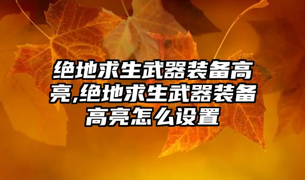 絕地求生武器裝備高亮,絕地求生武器裝備高亮怎么設置