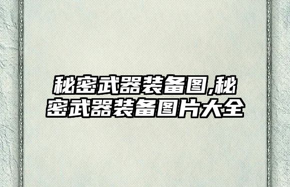 秘密武器裝備圖,秘密武器裝備圖片大全