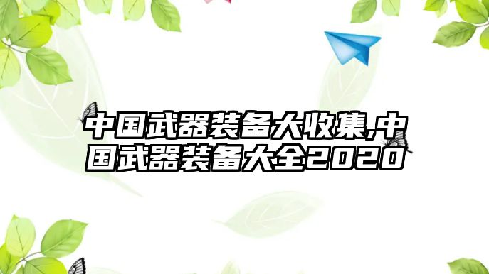 中國武器裝備大收集,中國武器裝備大全2020