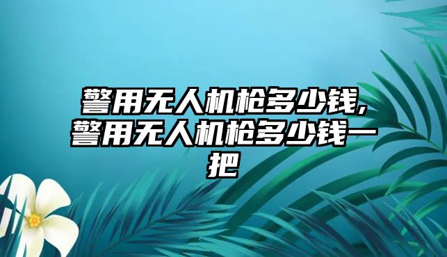 警用無人機槍多少錢,警用無人機槍多少錢一把