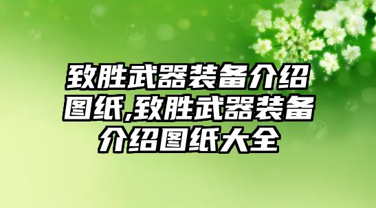 致勝武器裝備介紹圖紙,致勝武器裝備介紹圖紙大全