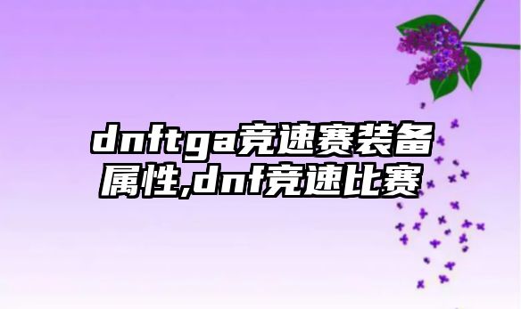 dnftga競速賽裝備屬性,dnf競速比賽