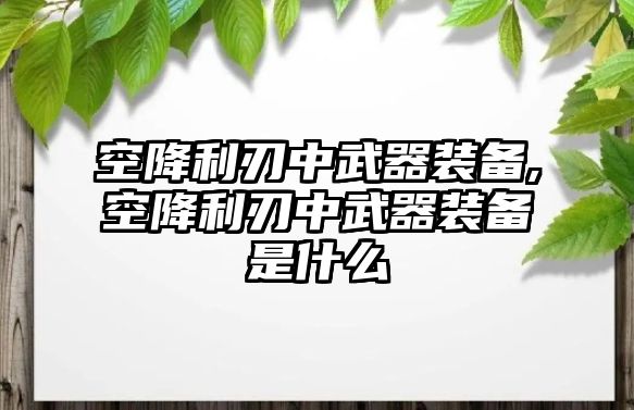 空降利刃中武器裝備,空降利刃中武器裝備是什么