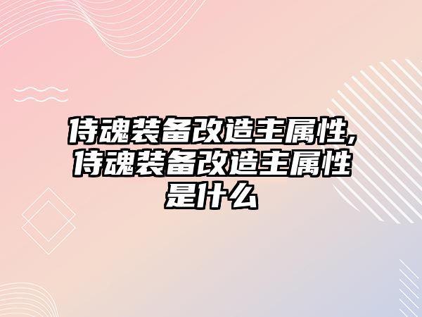 侍魂裝備改造主屬性,侍魂裝備改造主屬性是什么