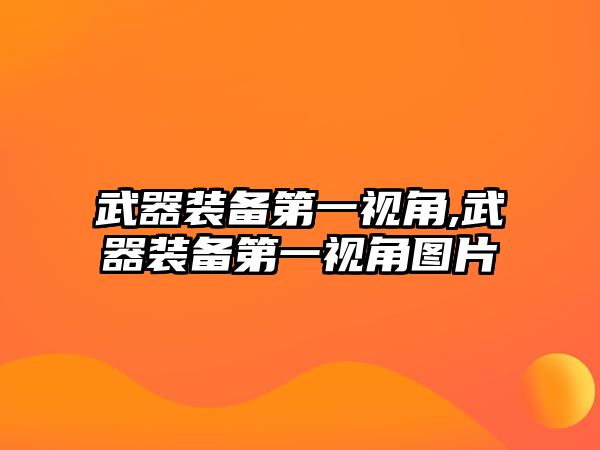 武器裝備第一視角,武器裝備第一視角圖片