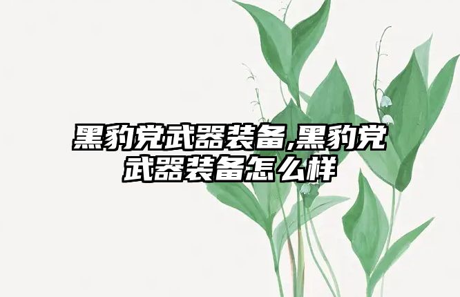 黑豹黨武器裝備,黑豹黨武器裝備怎么樣