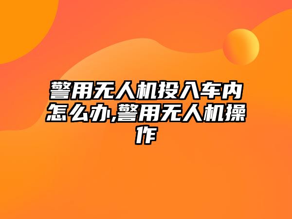 警用無(wú)人機(jī)投入車(chē)內(nèi)怎么辦,警用無(wú)人機(jī)操作