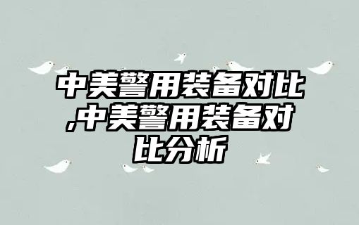 中美警用裝備對比,中美警用裝備對比分析